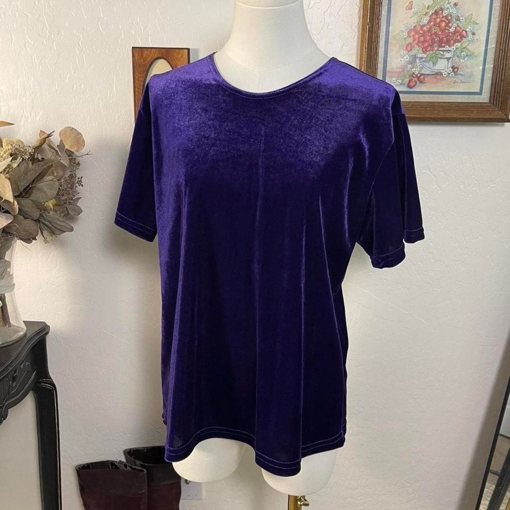 Vintage Whimsigoth Celestrial Purple Velvet Top